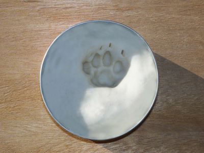 Pet-Paws Process